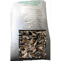 بزر دوار الشمس ني 25 kg