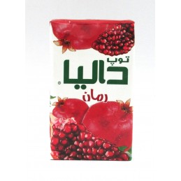 saft  Dalya 250ml *24 st